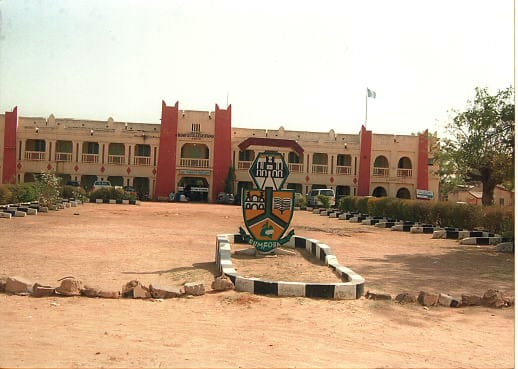 Stories of Impact: Rumfa College Alumni Initiatives